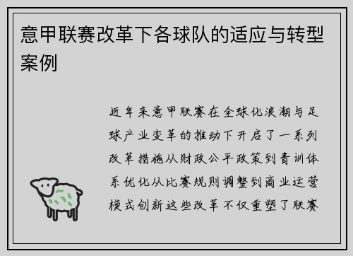 意甲联赛改革下各球队的适应与转型案例